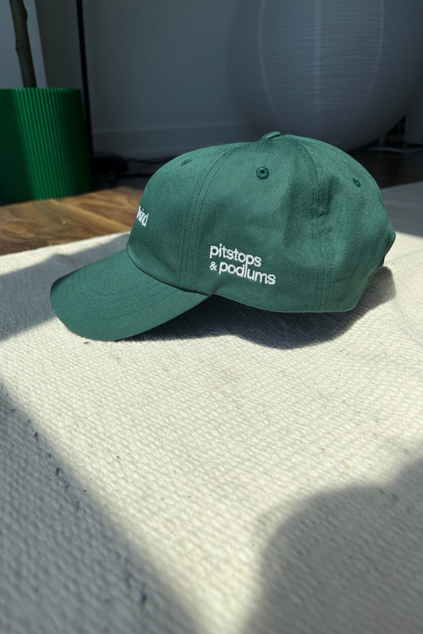 "Enjoy Life Be Kind" Dad Hat
